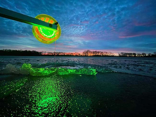 fish alert rattle reels E-Hub Reel wide design Northern Lights Rattle Reels