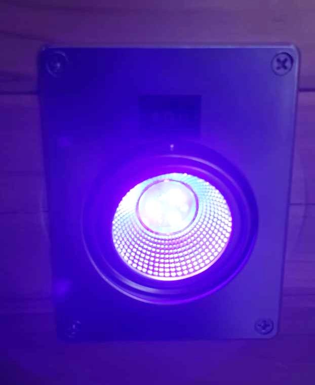 Hole Lights 12 VDC UV and White LED